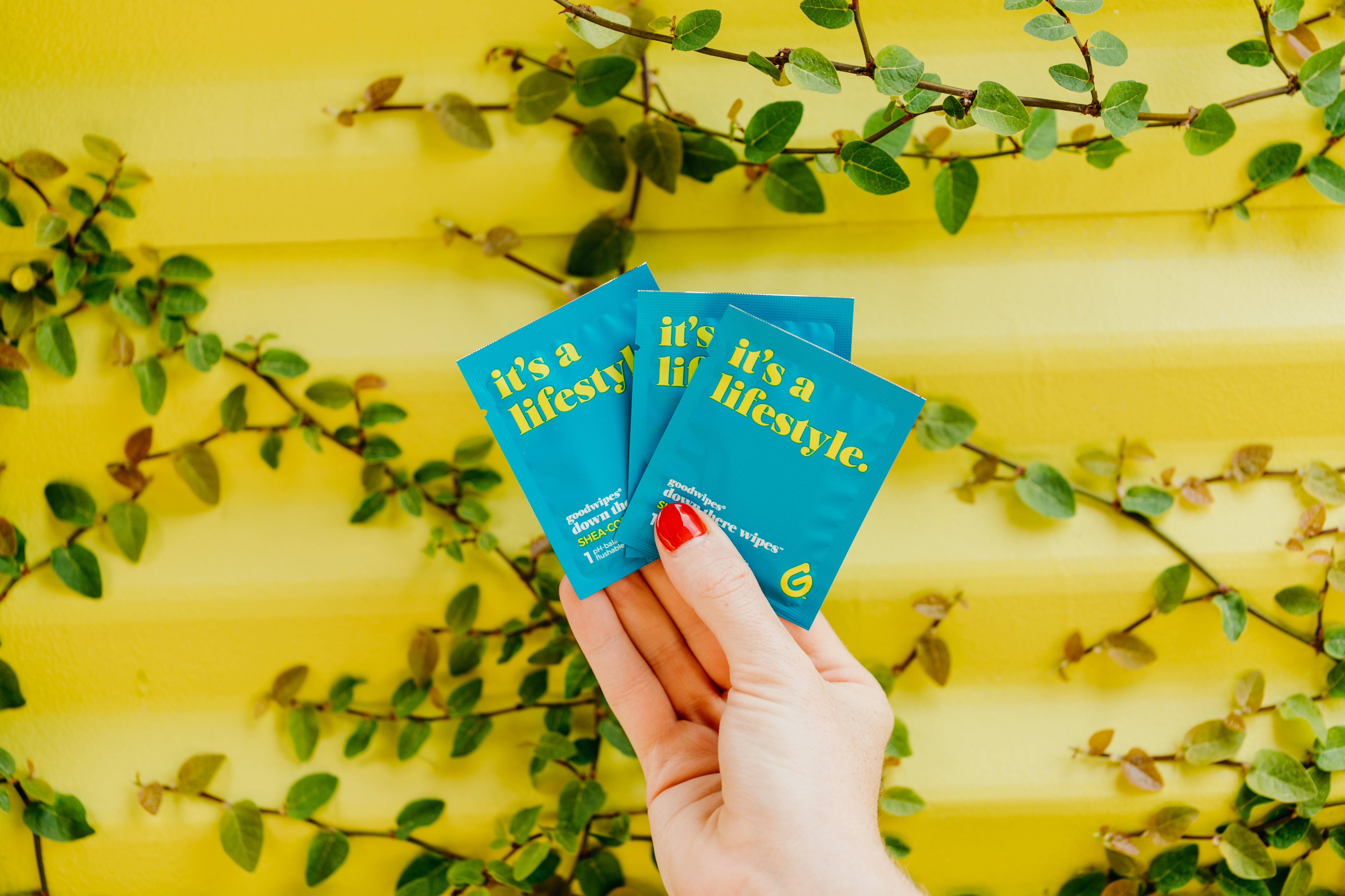 16ct Down There Care Variety Pack Goodwipes