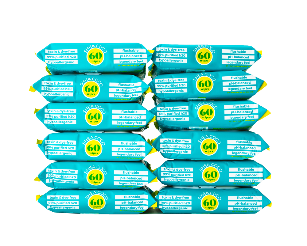60ct Flushable Wipes - 12 Pack